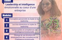 Formation sur le leadership et l'intelligence émotionnelle en mars 2025  mediacongo